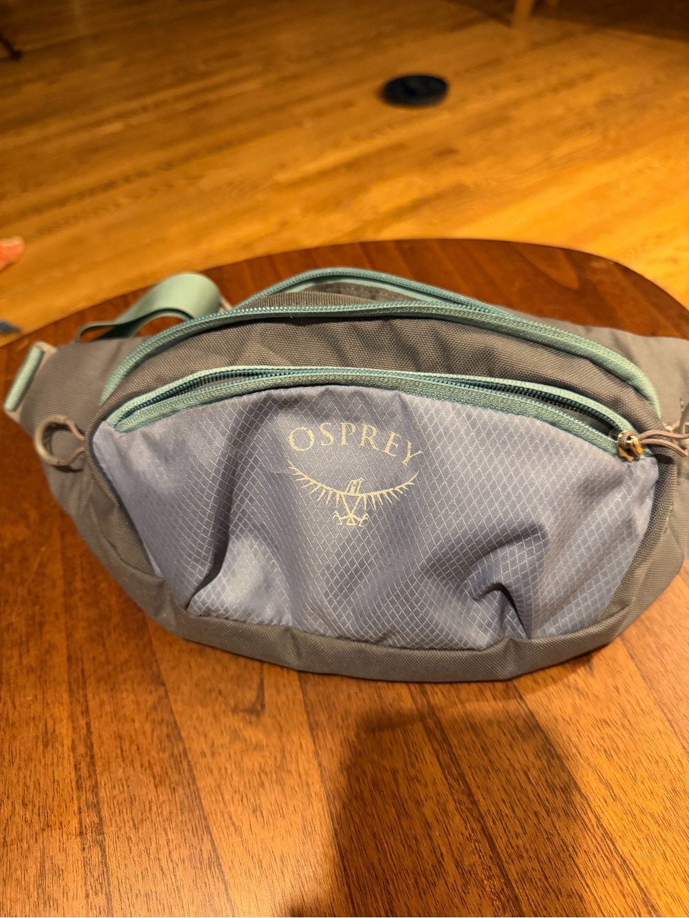 OSPREY Blue and Teal Crossbody Waist Pack